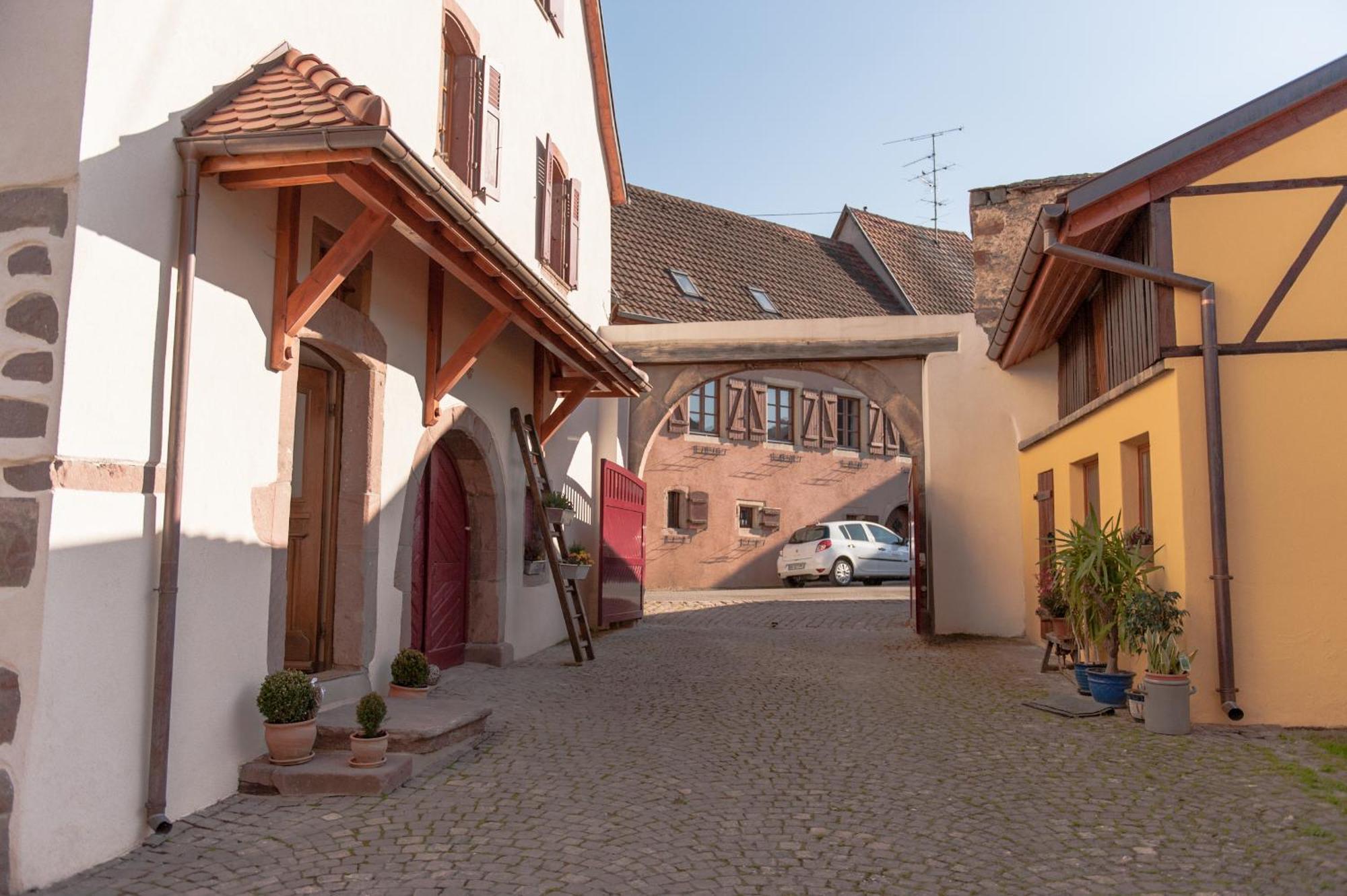 La Maison D'Emilie Pfaffenheim Buitenkant foto